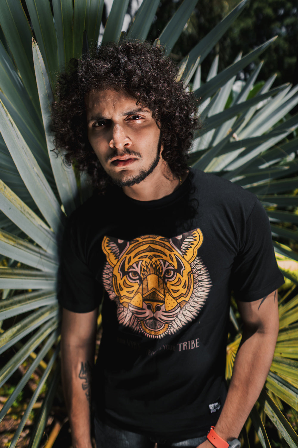 Tribe of the Stripe